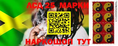 спиды Бердск
