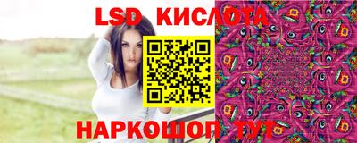 спиды Бердск