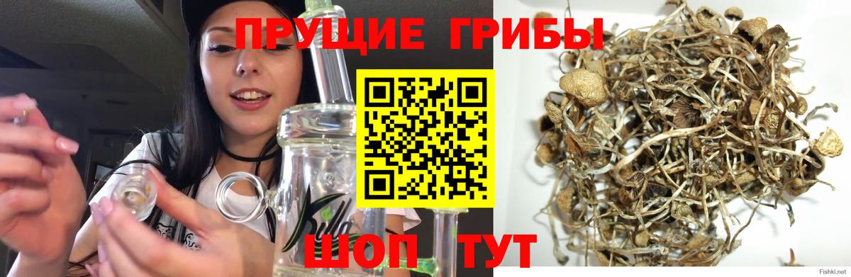 Галлюциногенные грибы ЛСД Белая Калитва